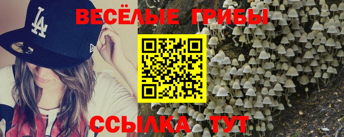 Галлюциногенные грибы Cubensis  Галлюциногенные грибы ЛСД  Заволжье  Вход с VPN 